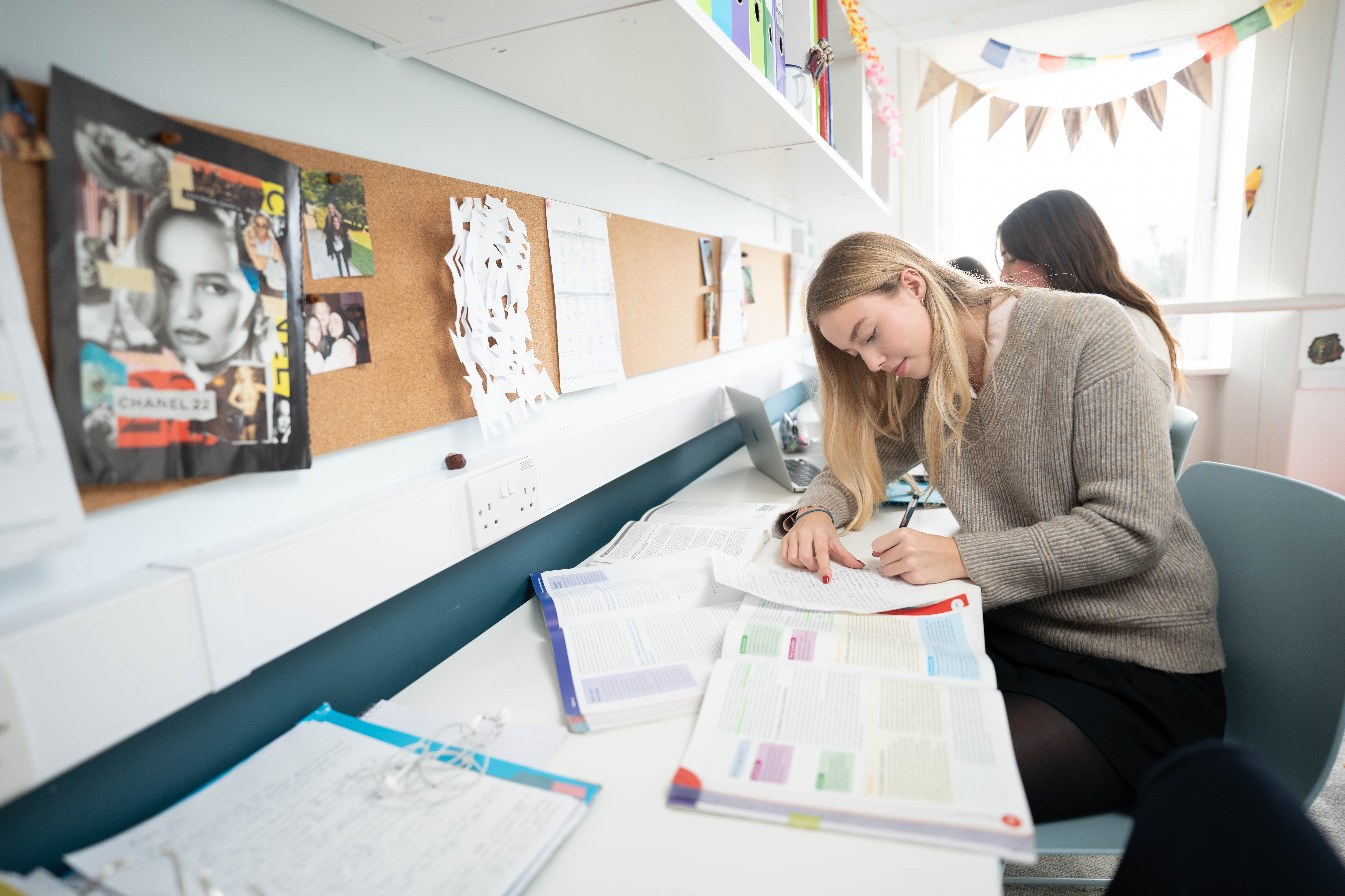 School image