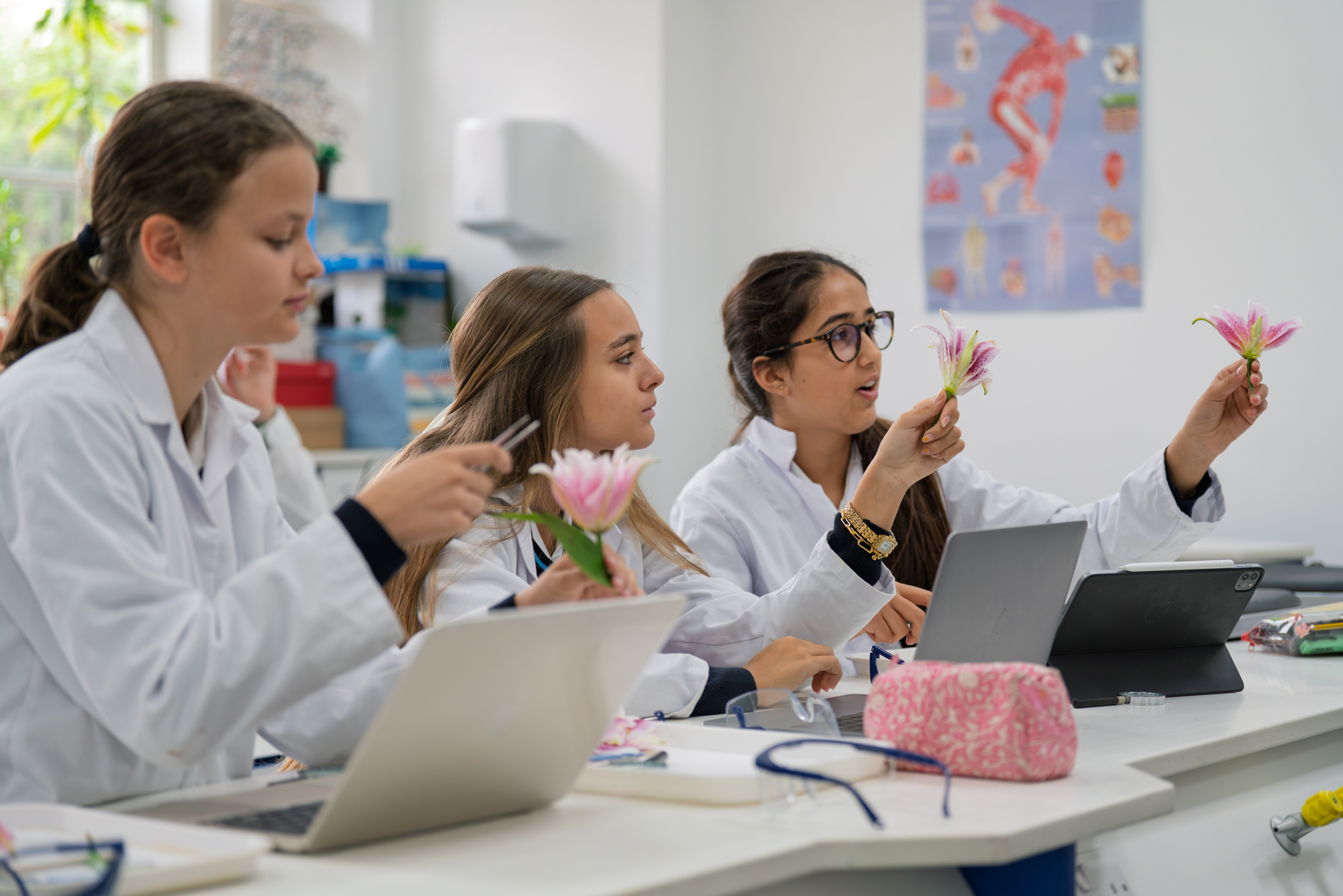 School image