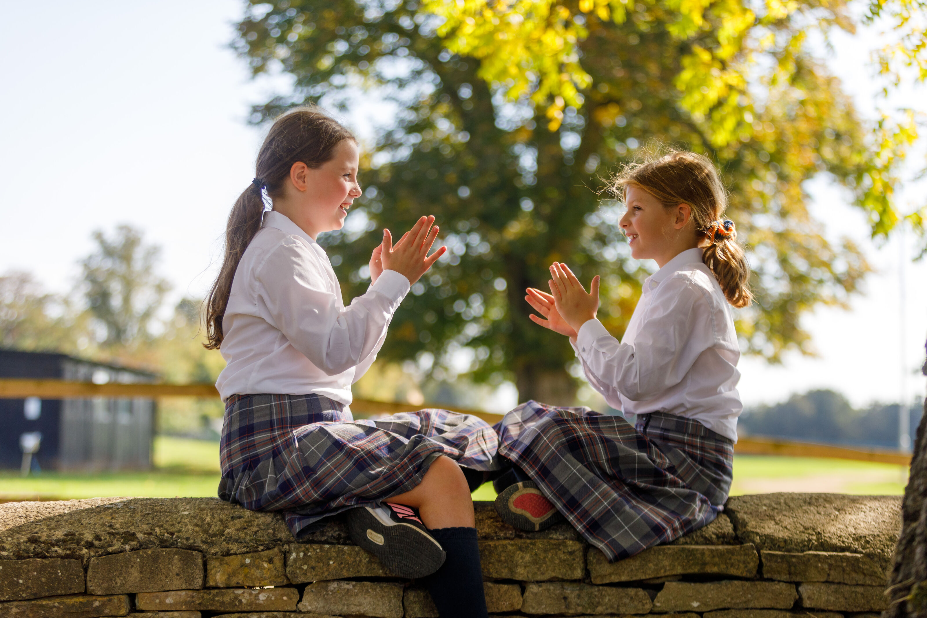 School image