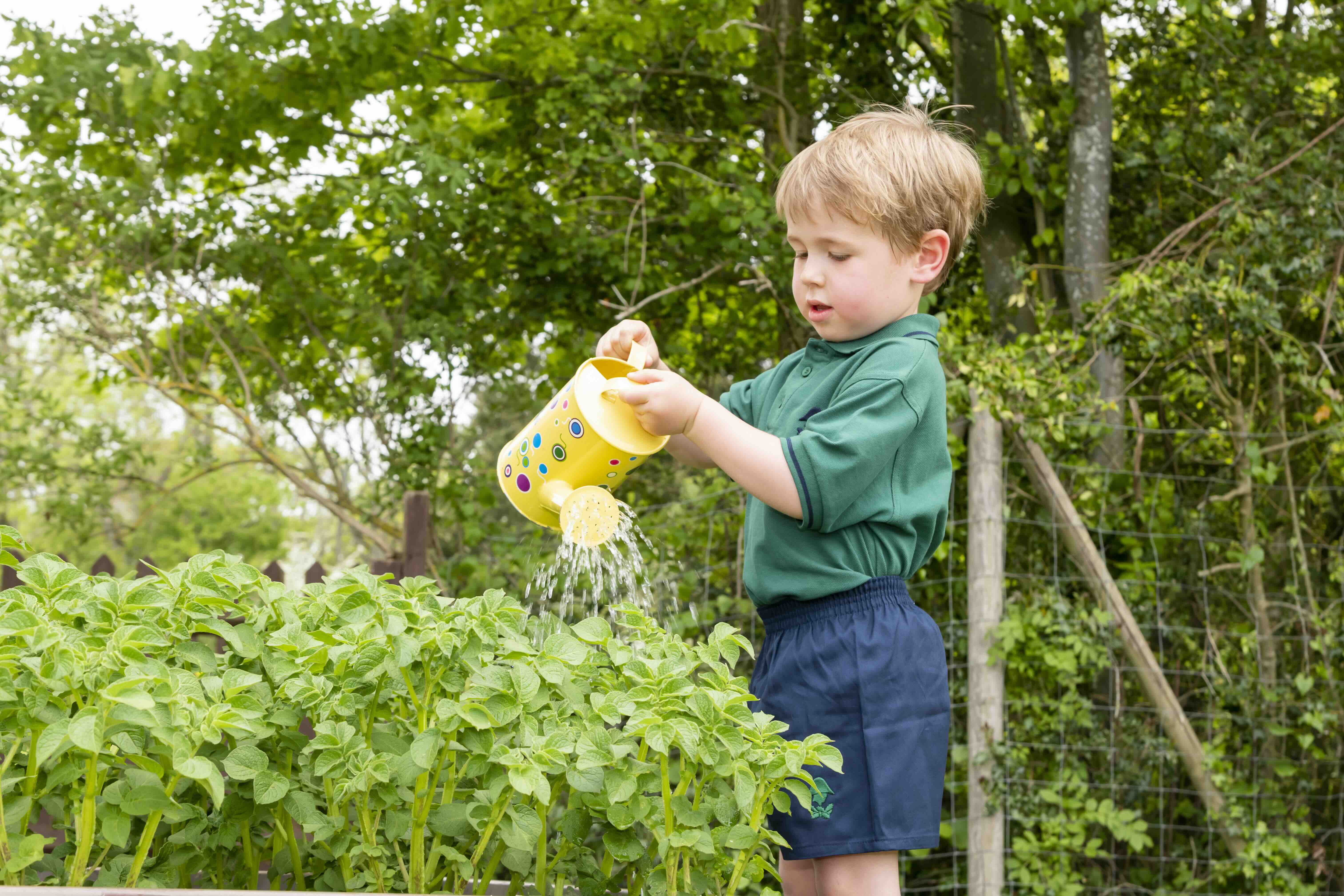 Wellesley Prep School