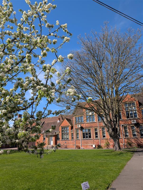 School image