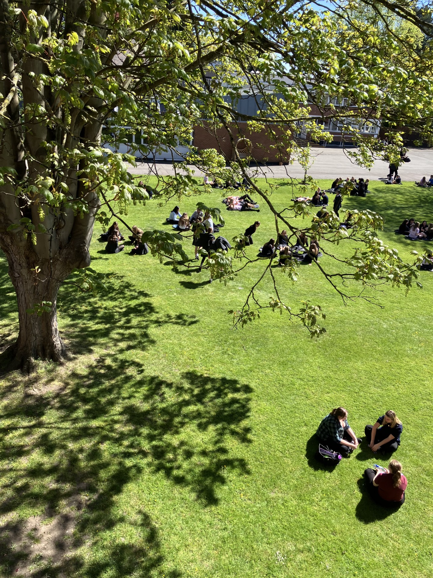 School image