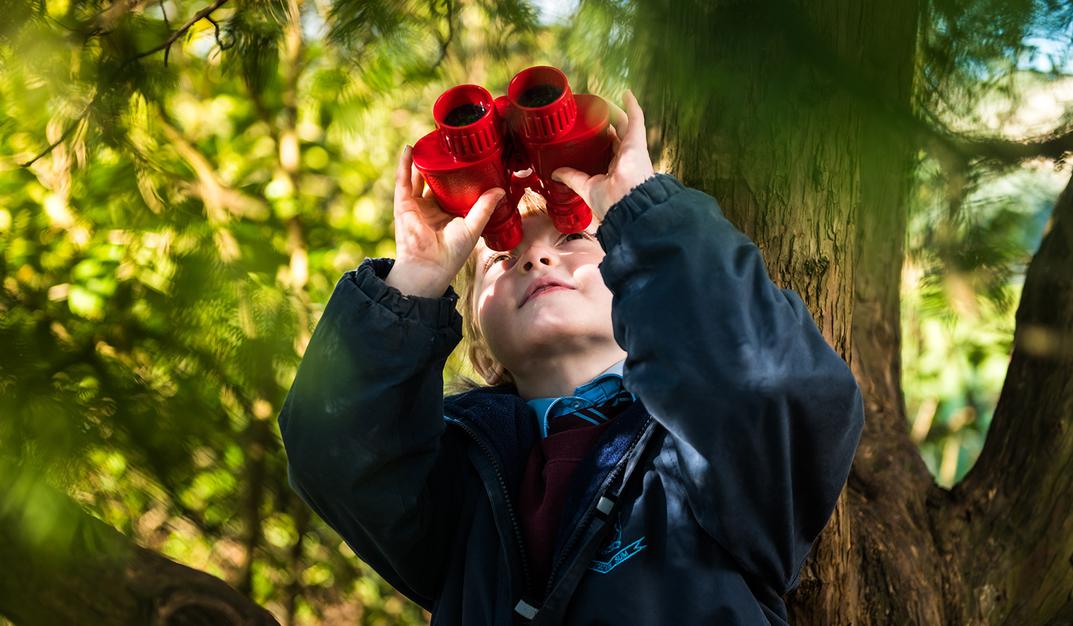 Holmwood House School, Colchester